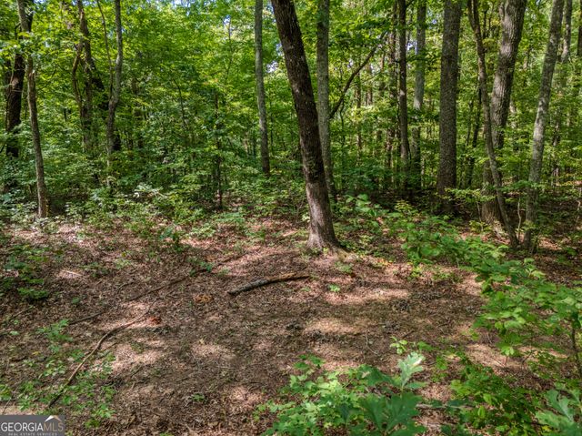 0 Clearview Drive, Talking Rock, GA 30175