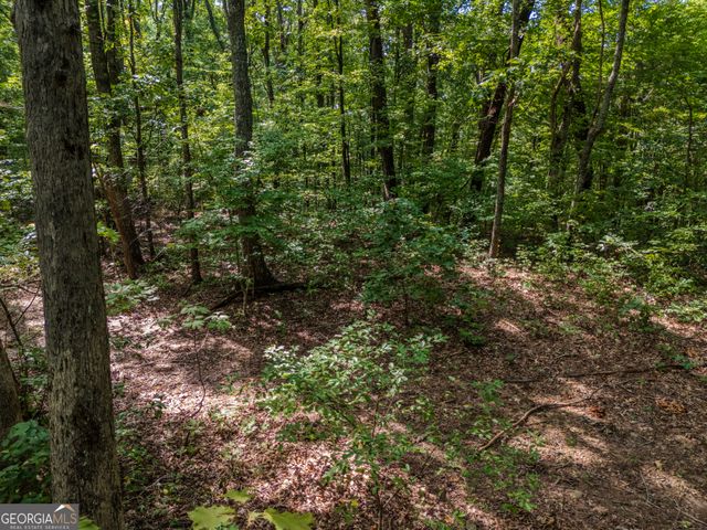 0 Clearview Drive, Talking Rock, GA 30175