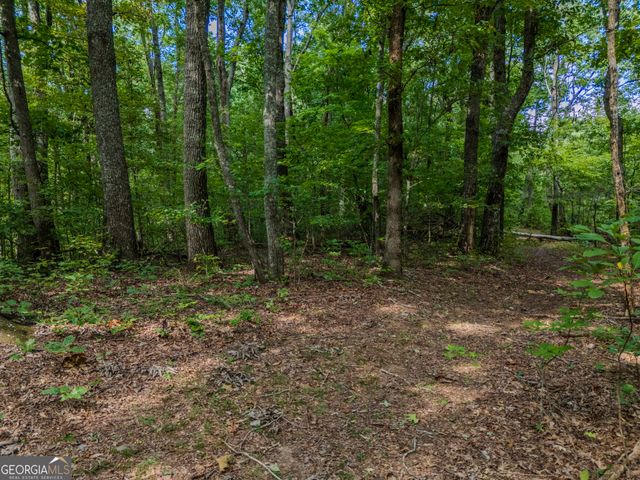 0 Clearview Drive, Talking Rock, GA 30175