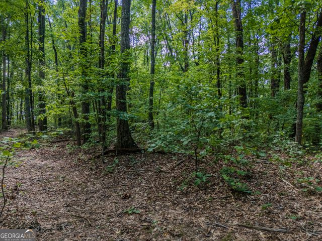 0 Clearview Drive, Talking Rock, GA 30175