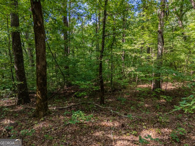 0 Clearview Drive, Talking Rock, GA 30175