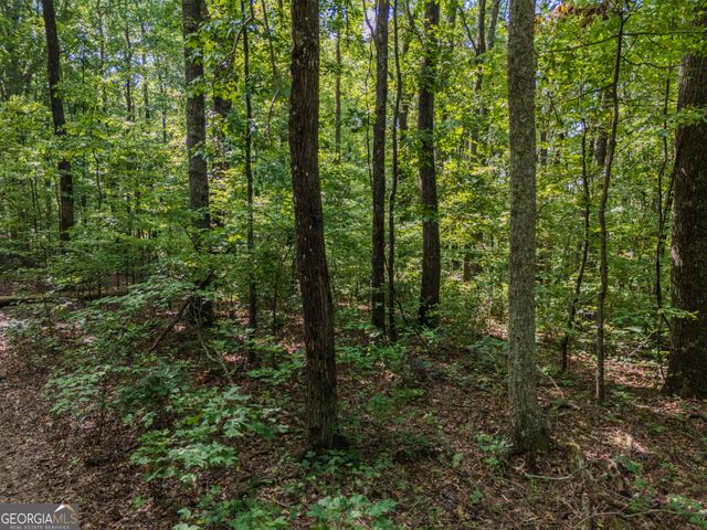 0 Clearview Drive, Talking Rock, GA 30175