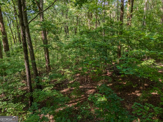 0 Clearview Drive, Talking Rock, GA 30175