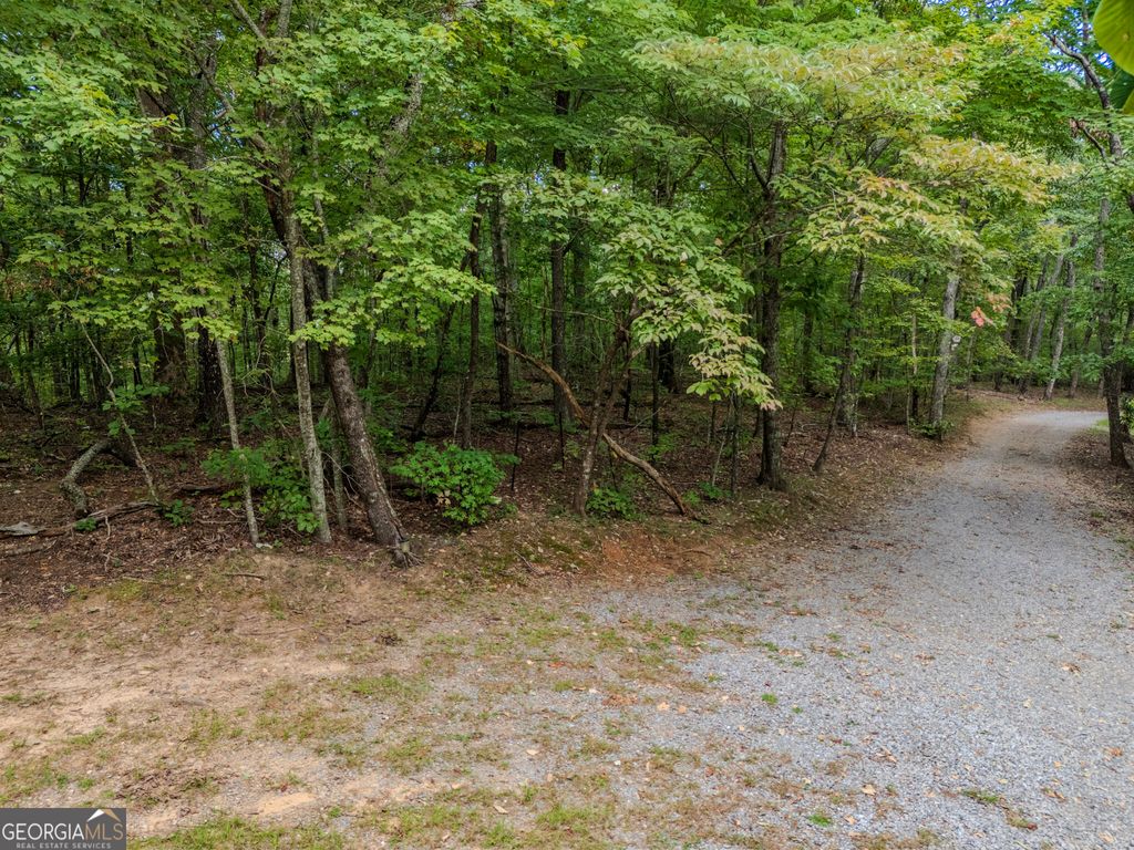 0 Clearview Drive, Talking Rock, GA 30175