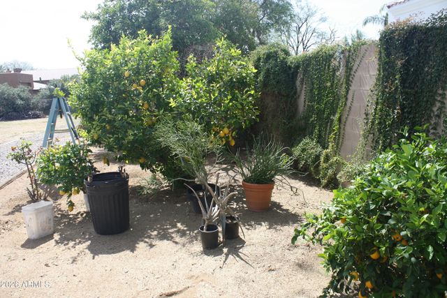 6229 E VIA ESTRELLA Avenue, Paradise Valley, AZ 85253