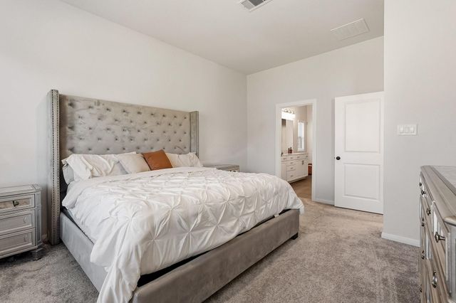 27210 Texas Bluebonnet Trail, Hockley, TX 77447