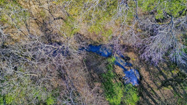 163 Twin Oaks Lane, Whitesboro, TX 76273