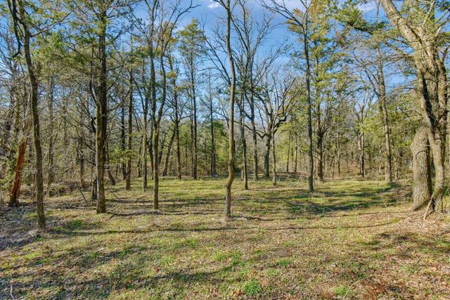 163 Twin Oaks Lane, Whitesboro, TX 76273