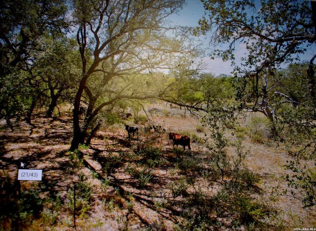 5030 Fm 2504, Poteet, TX 78065