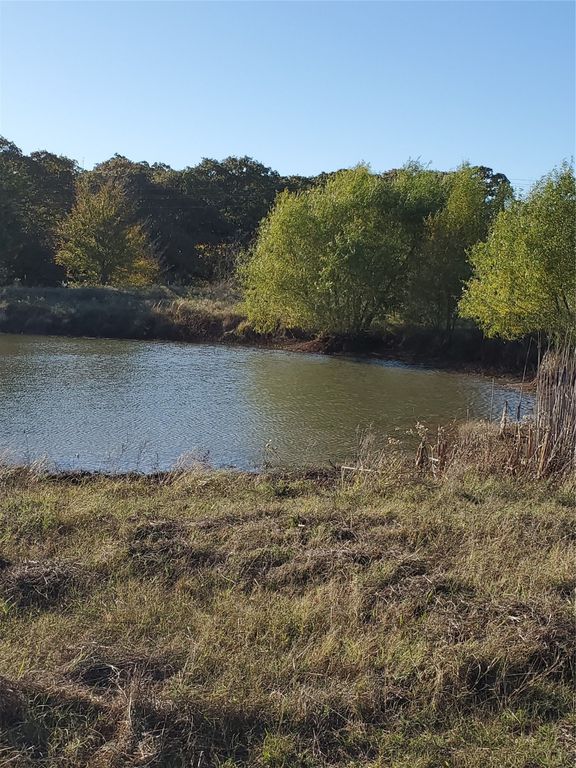 TBD C. R. 2610, Ivanhoe, TX 75447