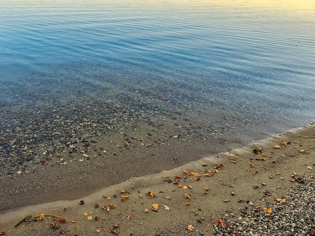 37791 Mallard Loop, Perham, MN 56573