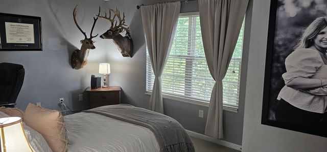 203 Woodside Court, Brownsburg, IN 46112