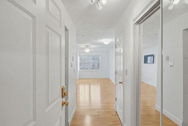 590 Boston St 303, Lynn, MA 01905