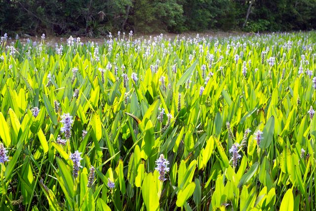 Lot 108 Bay Harbour Boulevard, Freeport, FL 32439