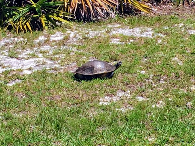 Lot 108 Bay Harbour Boulevard, Freeport, FL 32439