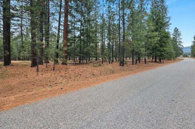 Nhn Swamp Creek Road, Plains, MT 59859 property photo