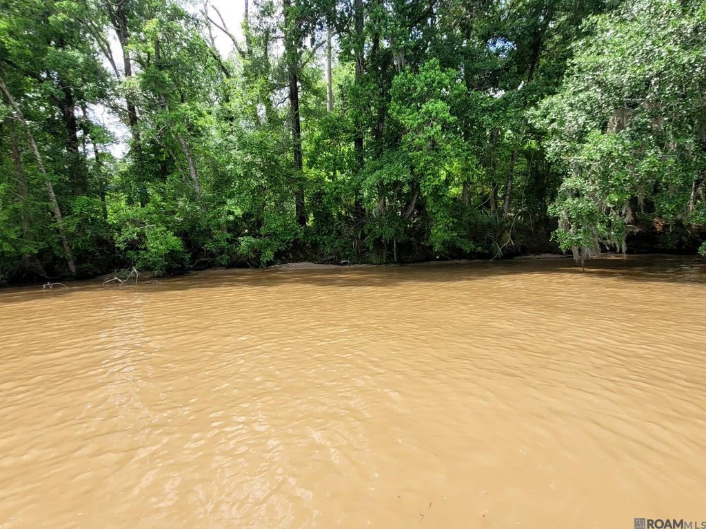 TBD Amite River Access Only, Prairieville, LA 70769