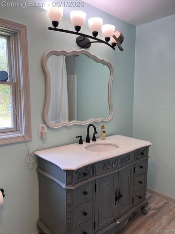 209 Main Street, Morrice Village, MI 48857