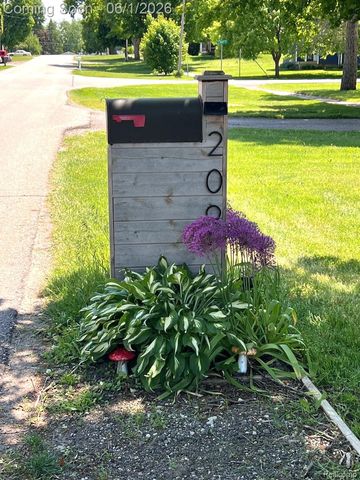 209 Main Street, Morrice Village, MI 48857