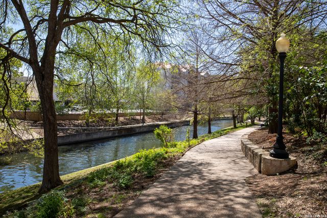 230 Dwyer Ave Unit 705, San Antonio, TX 78204