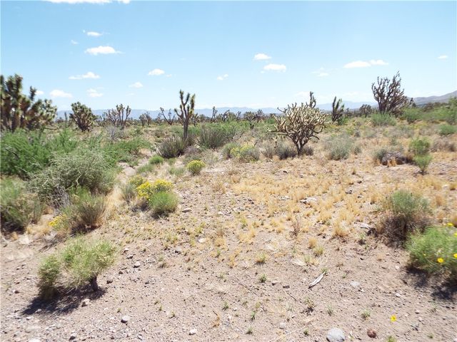 0000 N Laurel, Dolan Springs, AZ 86441