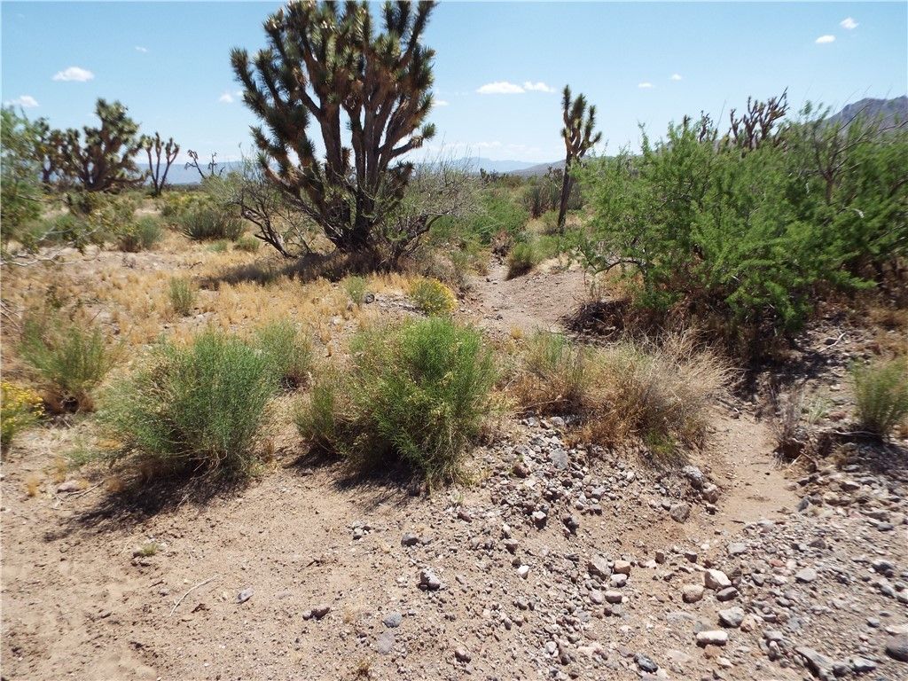 0000 N Laurel, Dolan Springs, AZ 86441