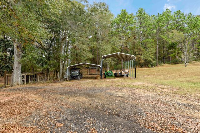1638 Goose Hollow Rd, Geneva, AL 36340