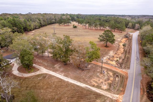 1638 Goose Hollow Rd, Geneva, AL 36340