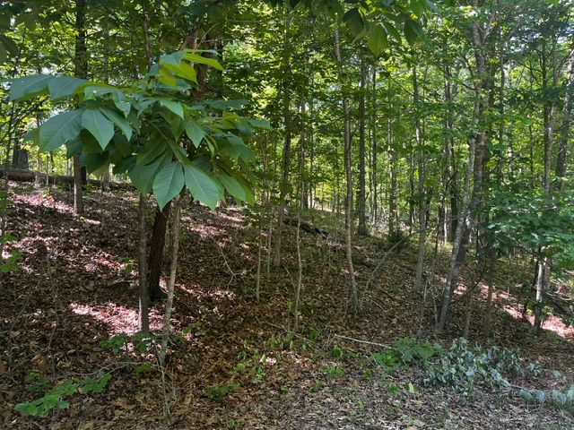 Lot 12 Block 8 Riding Lane, Bella Vista, AR 72714