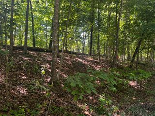 Lot 12 Block 8 Riding Lane, Bella Vista, AR 72714