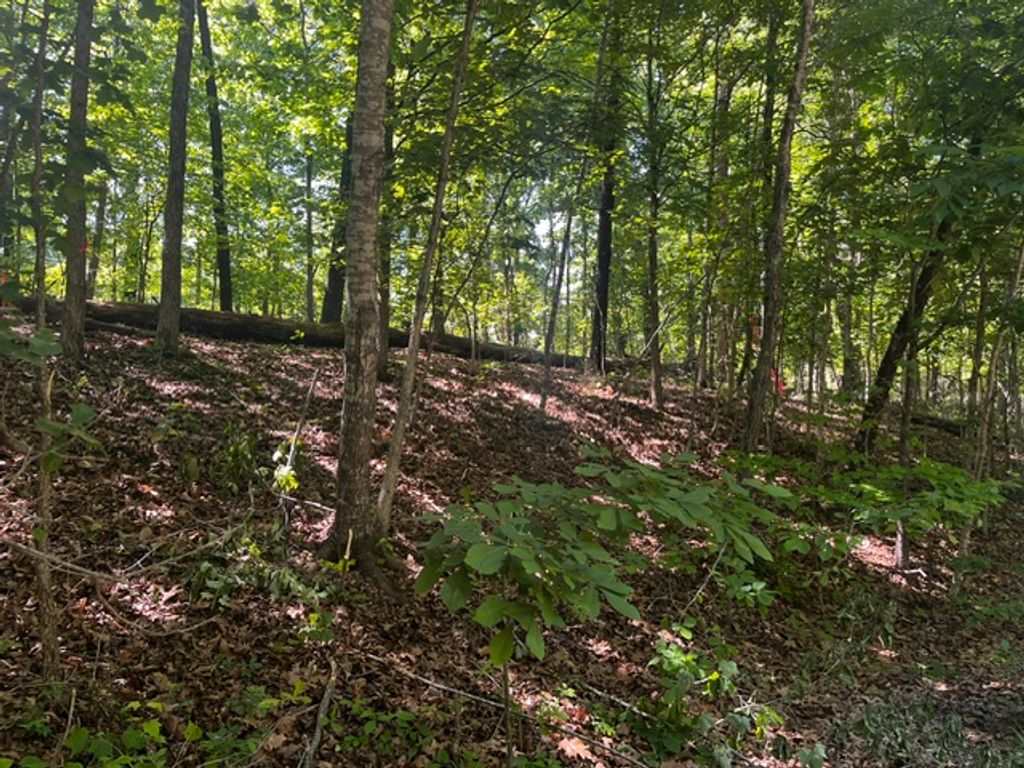 Lot 12 Block 8 Riding Lane, Bella Vista, AR 72714