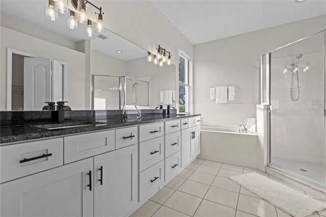 11611 JORDANS LANDING COURT, Riverview, FL 33569