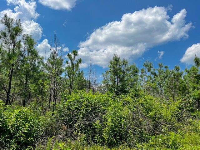 01 Coussons Drive, Hemphill, TX 75948