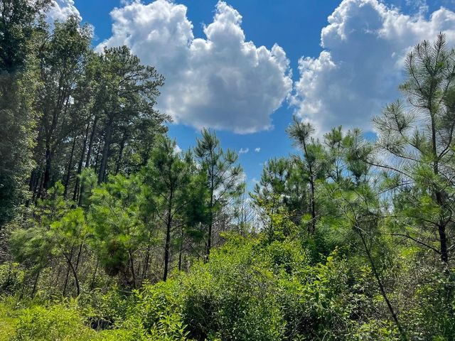 01 Coussons Drive, Hemphill, TX 75948