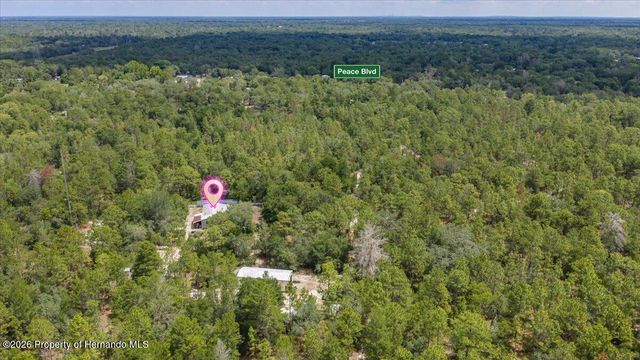15624 Peace Boulevard, Spring Hill(pasco), FL 34610