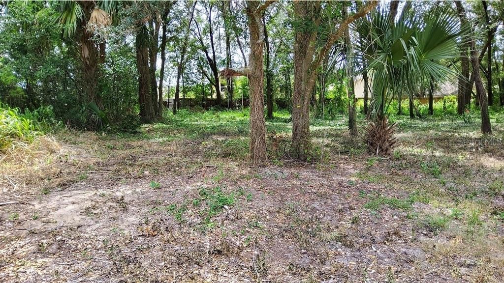 25050 ALGONQUIN AVENUE, Mount Plymouth, FL 32776