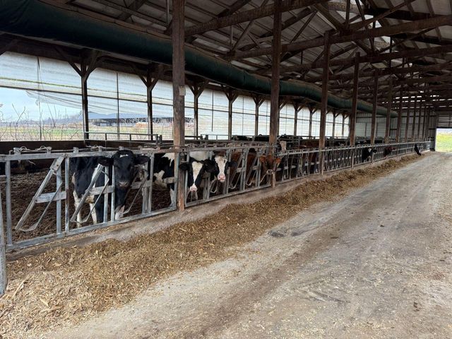 N5271 MADDEN ROAD, New London, WI 54961