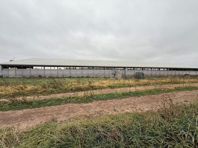 N5271 MADDEN ROAD, New London, WI 54961