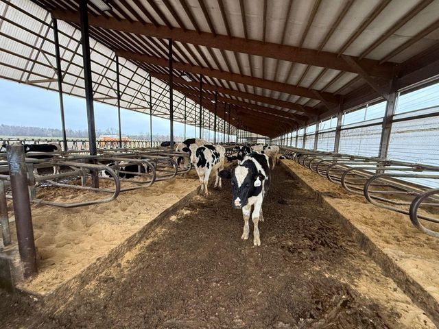 N5271 MADDEN ROAD, New London, WI 54961