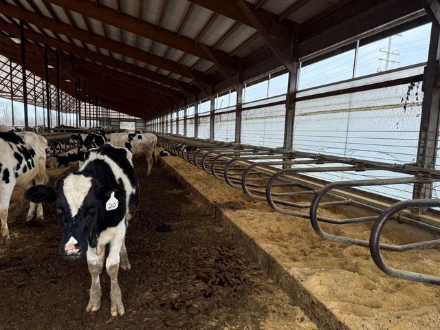 N5271 MADDEN ROAD, New London, WI 54961