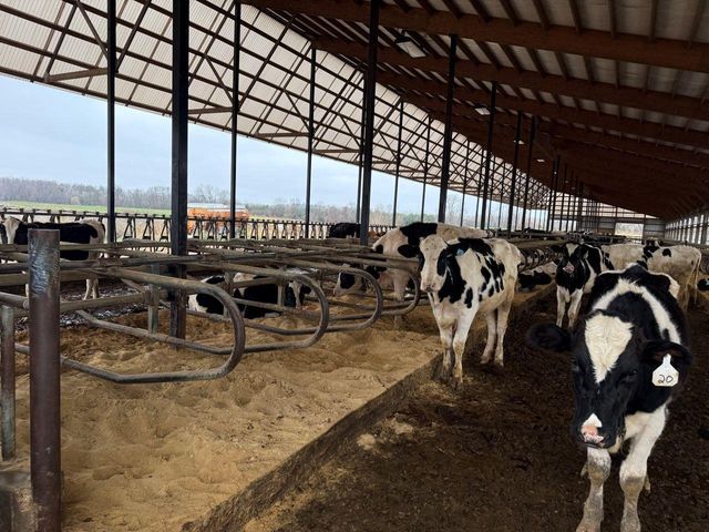 N5271 MADDEN ROAD, New London, WI 54961