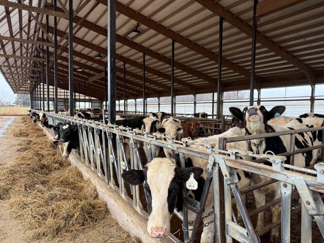 N5271 MADDEN ROAD, New London, WI 54961