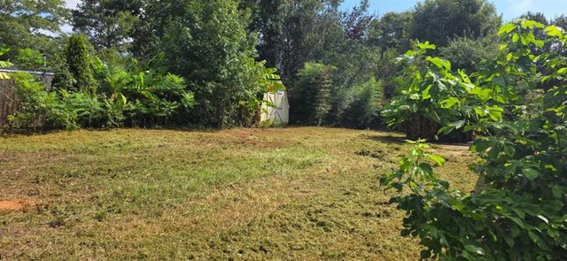 115 Grove Creek Drive, Locust Grove, GA 30248