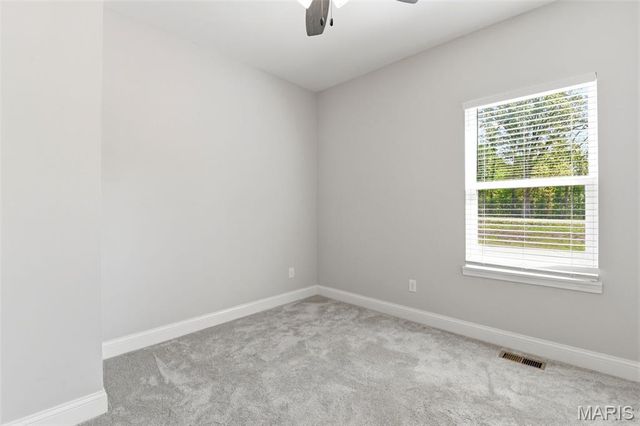 1509 Buck View, Festus, MO 63028