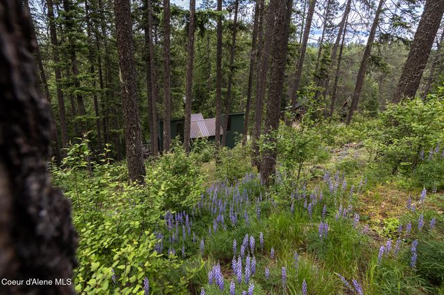 852 Woodland Dr, Sandpoint, ID 83864
