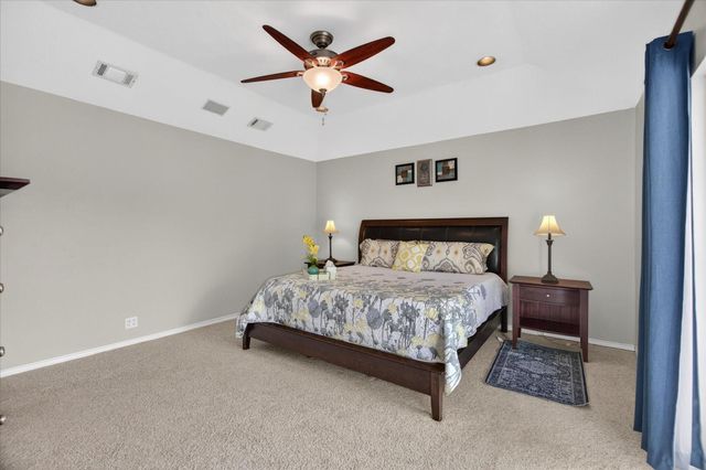 13239 Bluff View Drive, Willis, TX 77318