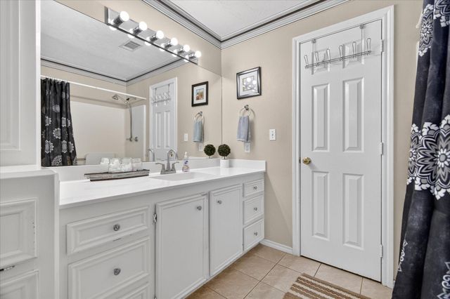 13239 Bluff View Drive, Willis, TX 77318