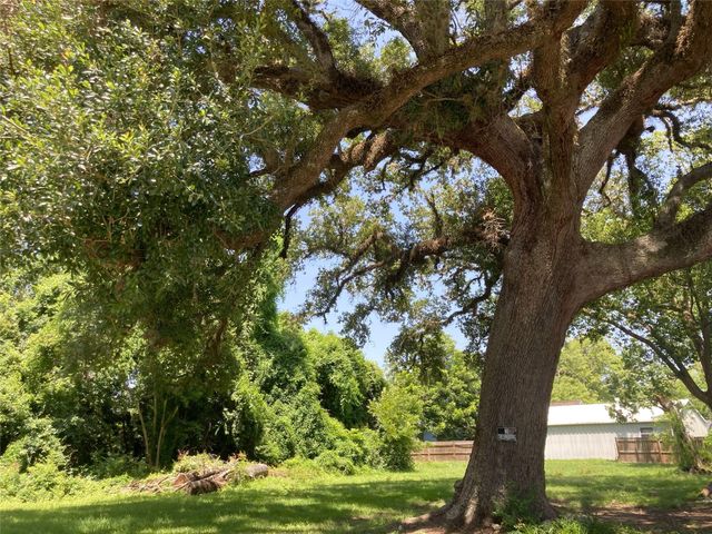 125 Shady Lane, West Columbia, TX 77486