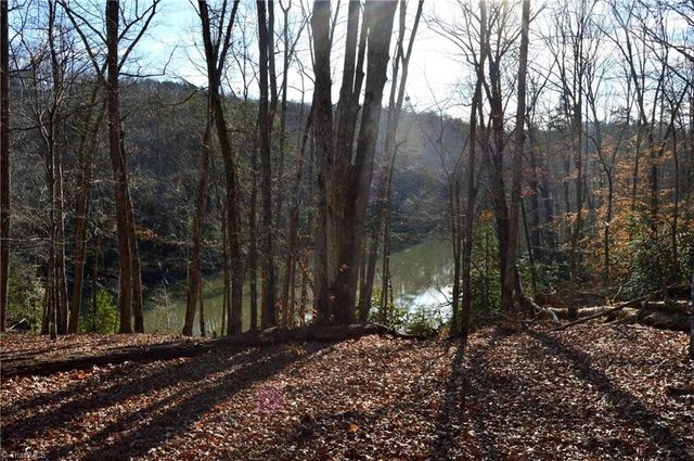 70 acre east tract - NC Highway 89 N, Danbury, NC 27016