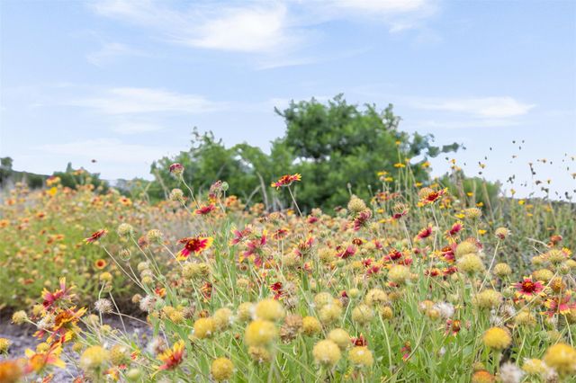 11207 Mountain Top CIR, Jonestown, TX 78645
